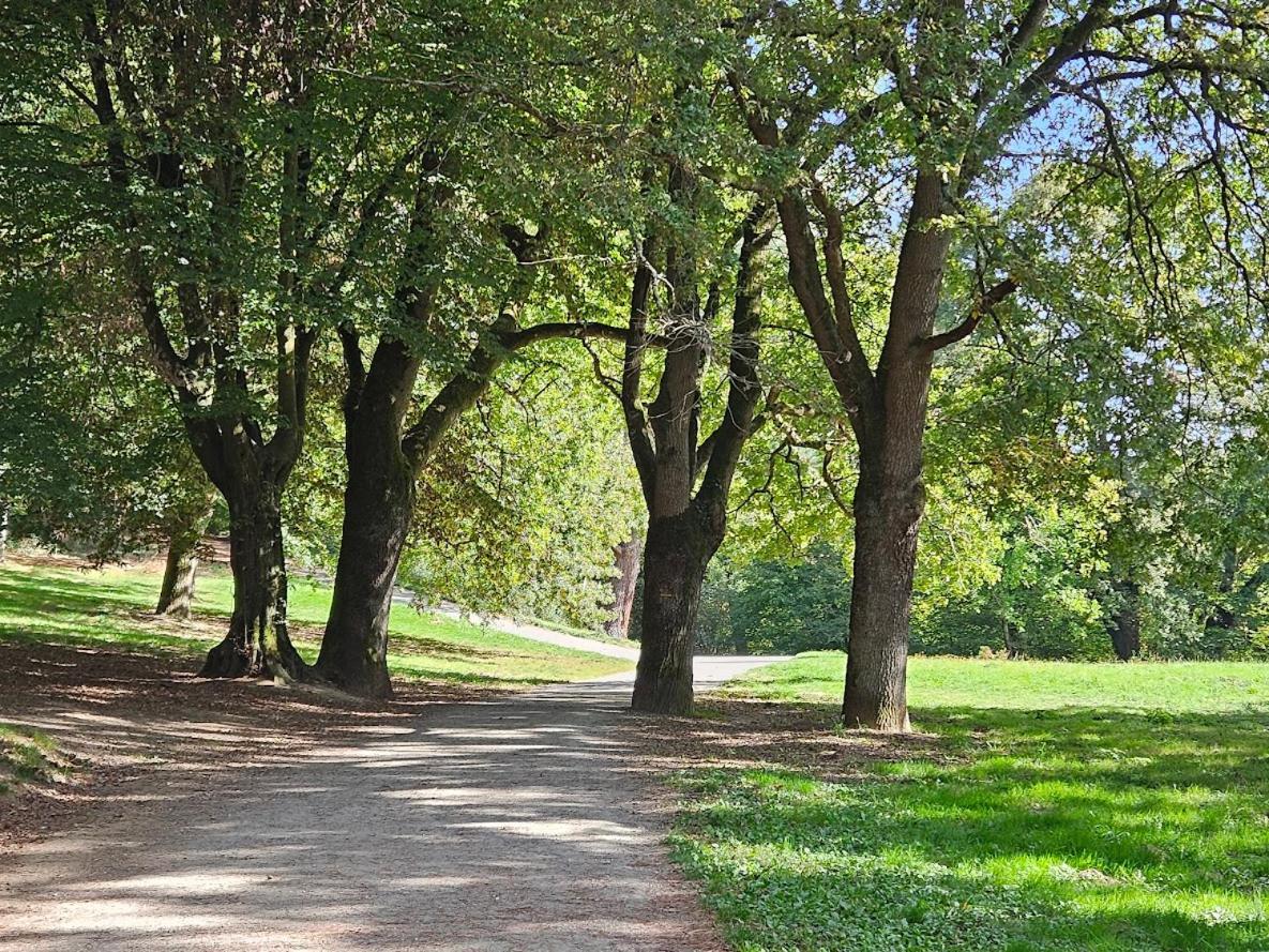 Le Parc De Chezine 2 Daire Saint-Herblain Dış mekan fotoğraf